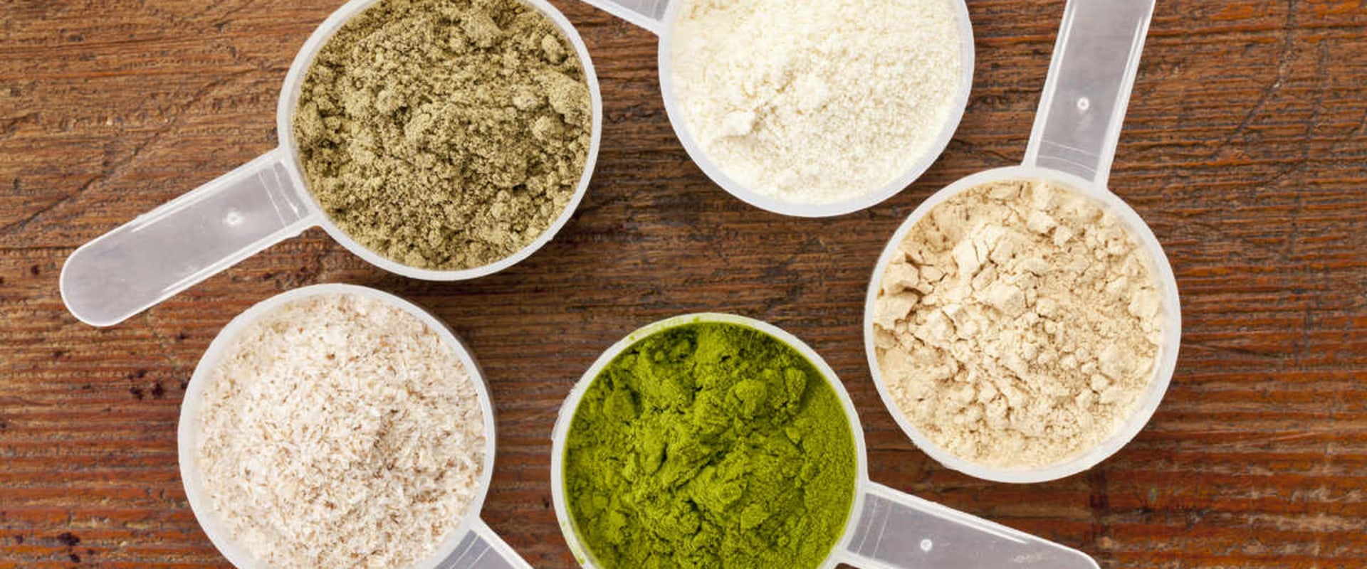 Which Protein is Better: Whey or Plant-Based Protein?