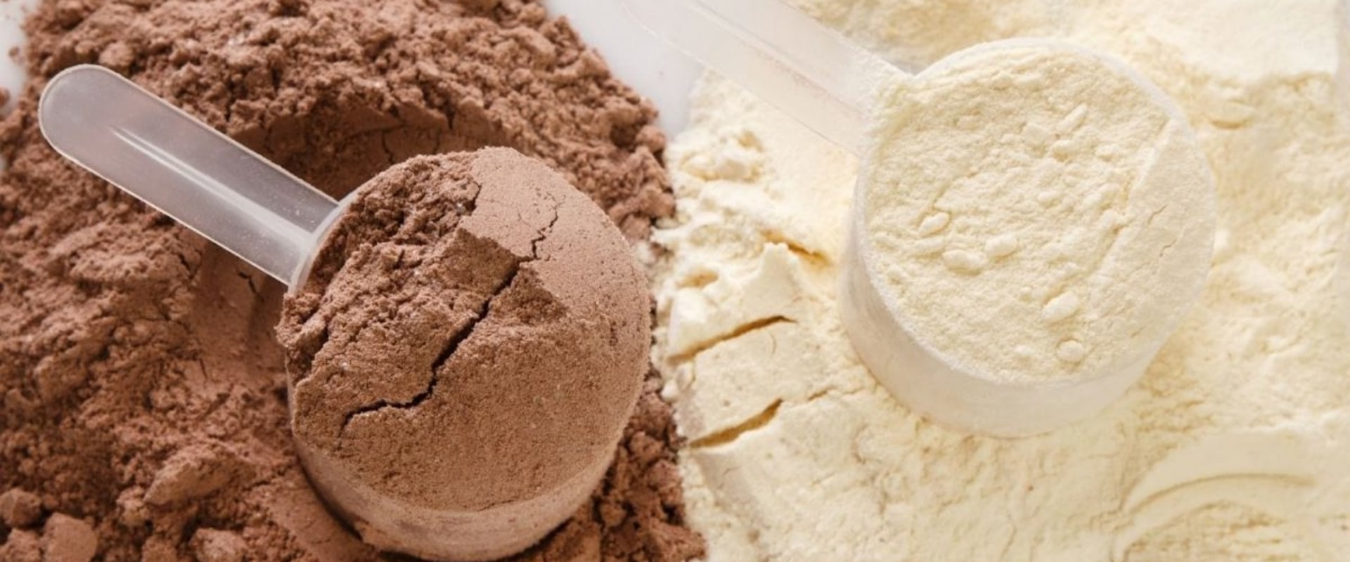 Which Whey Protein is Best for You? - An Expert's Guide
